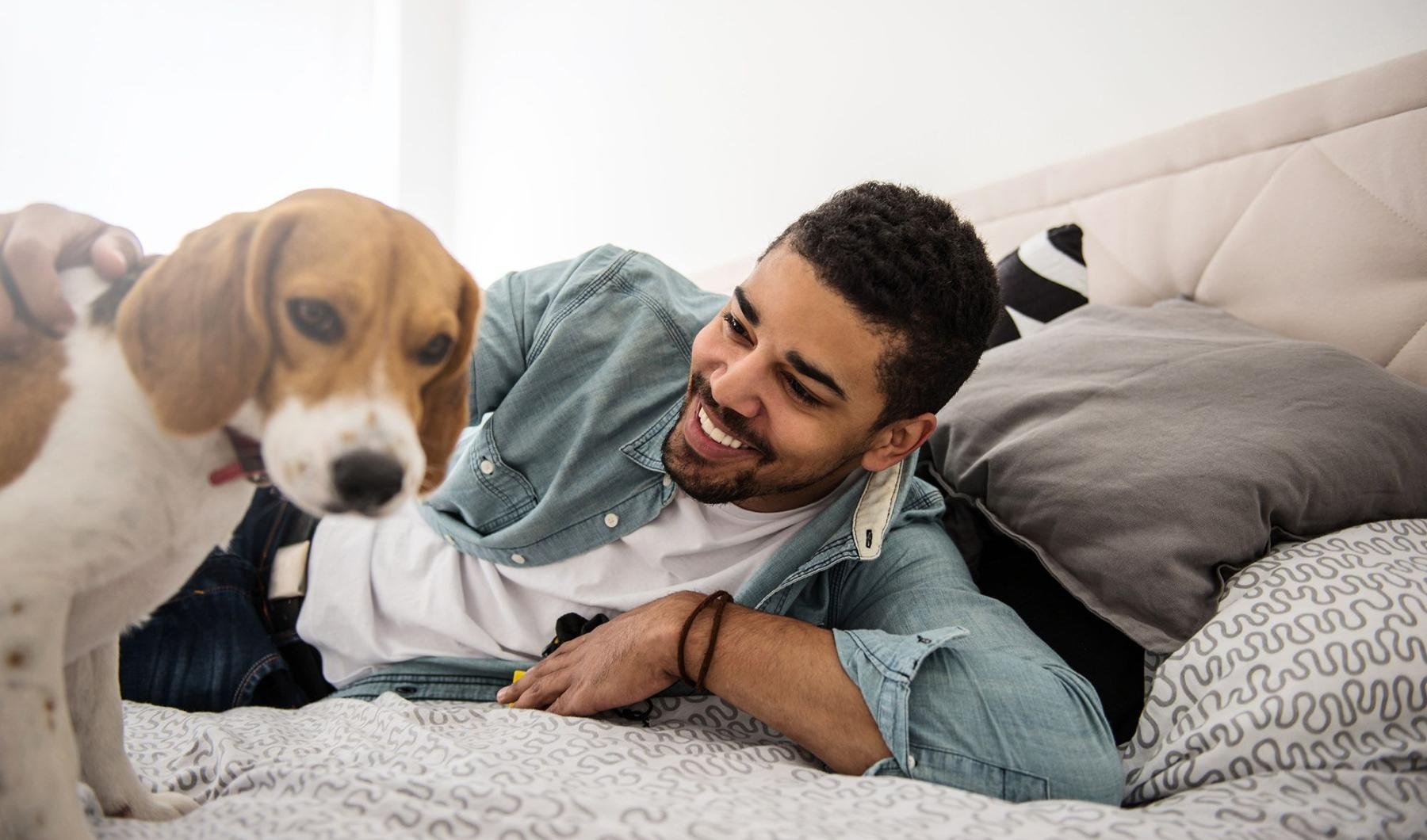 We welcome your pet family man smiles and pets his dog on a bed